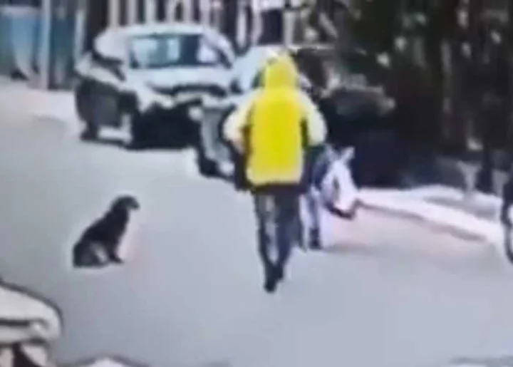 സോഷ്യല്‍ മീഡിയ