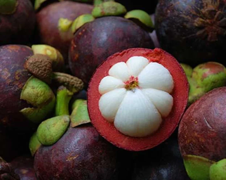 ആരോഗ്യം