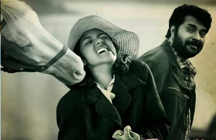 മമ്മൂട്ടി