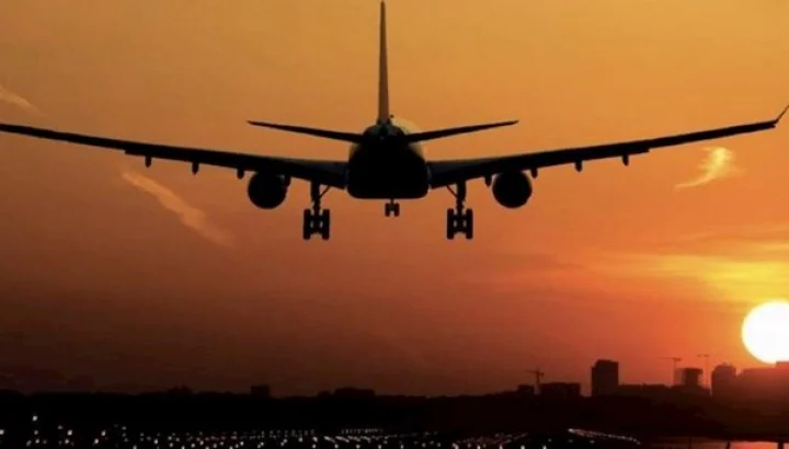 goes down by aeroplane from sky