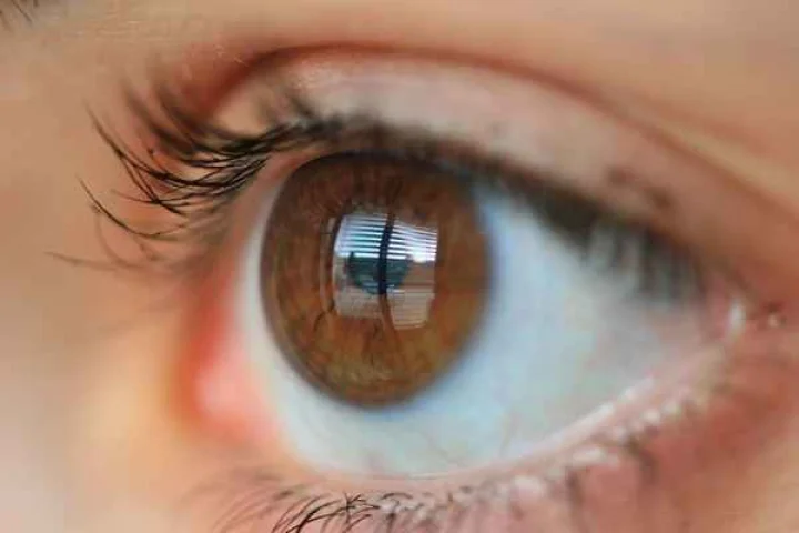 eye care