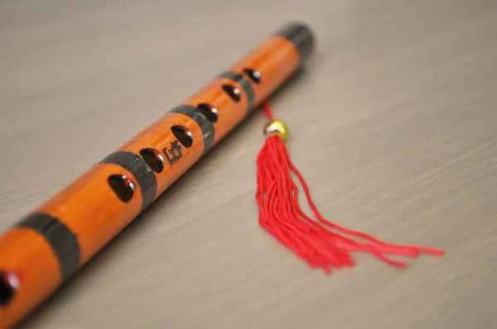 Instrument