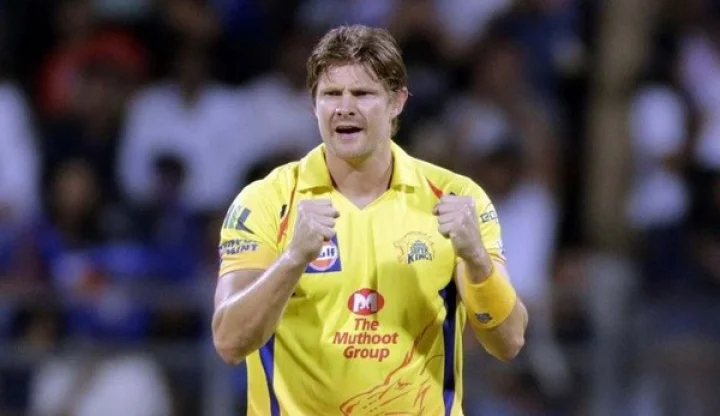shane watson 