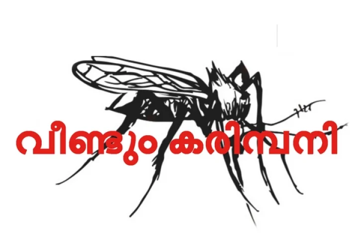 വാർത്ത