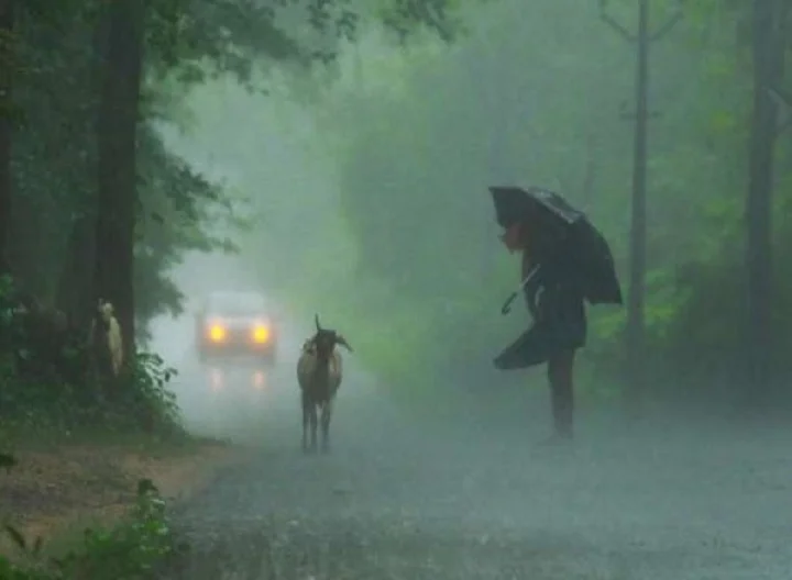 കനത്ത മഴ