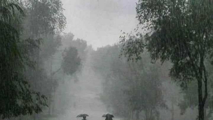 महाराष्ट्रातील अनेक जिल्ह्यांमध्ये मुसळधार पावसाची शक्यता, येलो-ऑरेंज अलर्ट जारी