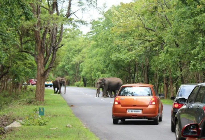 ബന്ധിപ്പൂർ