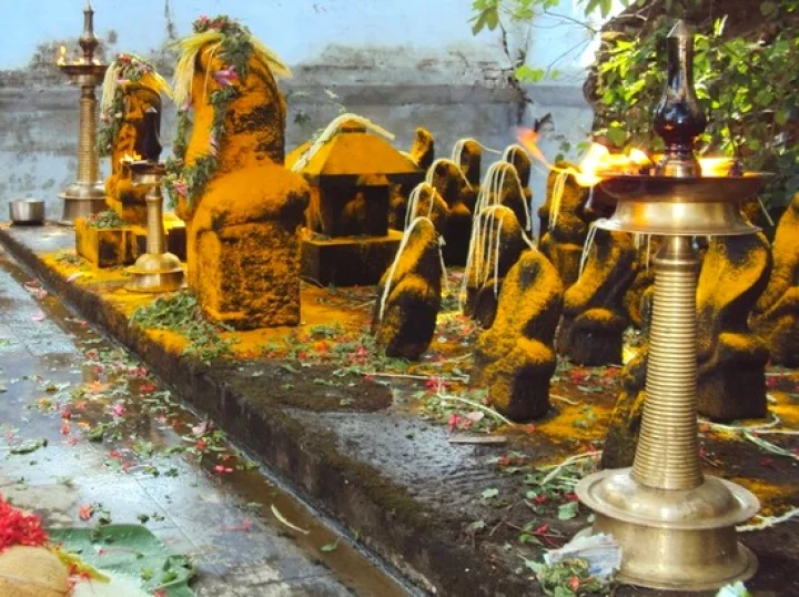 ആയില്യം പൂജ