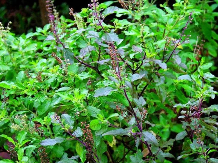 വാർത്ത