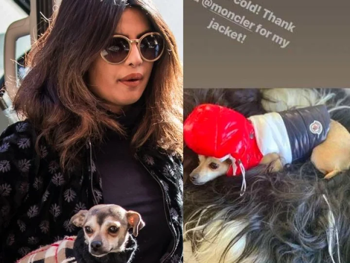 പ്രിയങ്ക ചോപ്ര