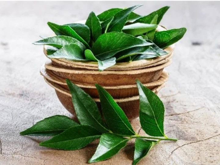 Curry Leaves