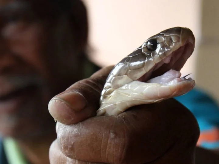 വാർത്തം ദേശീയം