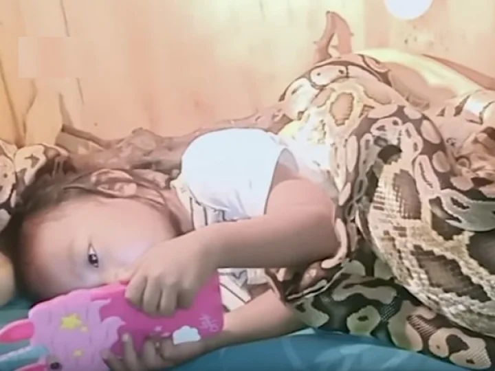 പെരുമ്പാമ്പ്
