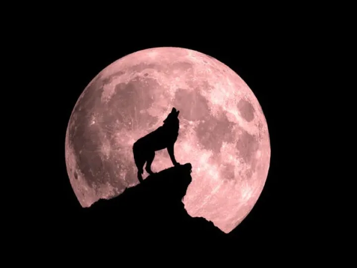 Zodiac Signs will be rich in 2025