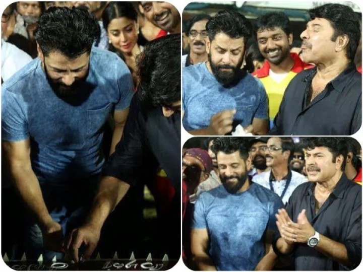 മമ്മൂട്ടി