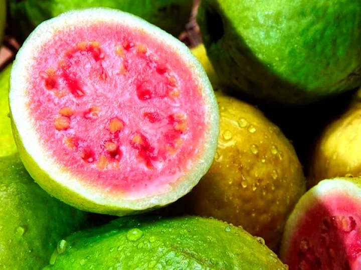 guava Benefits