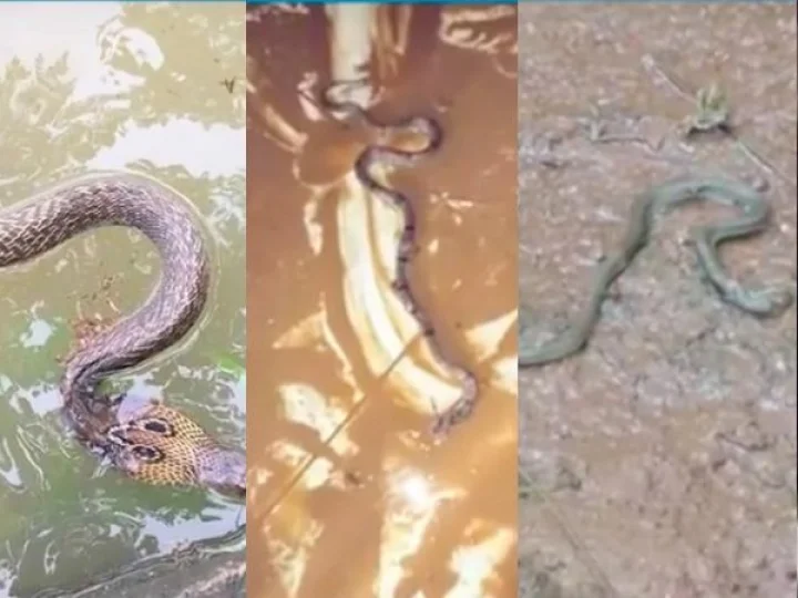 ആരോഗ്യം