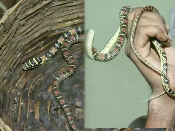 വാർത്ത