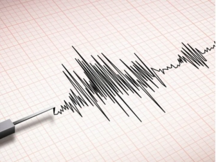Earthquake News