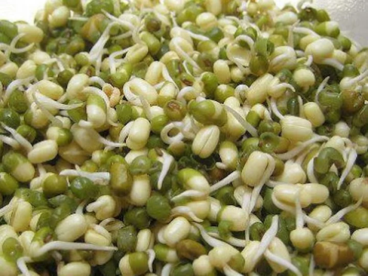 Sprouts