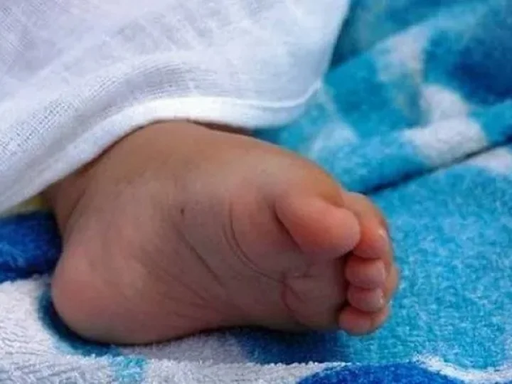 मुंबई विमानतळावर कचऱ्याच्या डब्यात नवजात बाळाचा मृतदेह आढळला