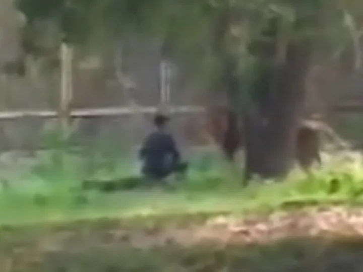 Delhi Zoo