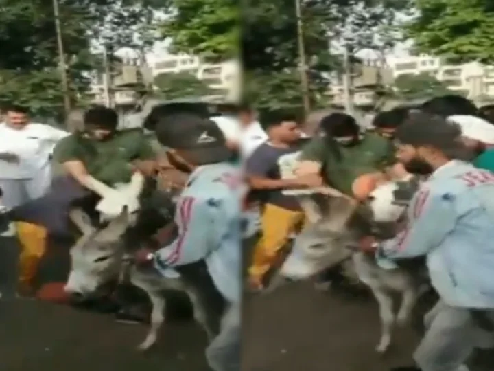 വാർത്ത