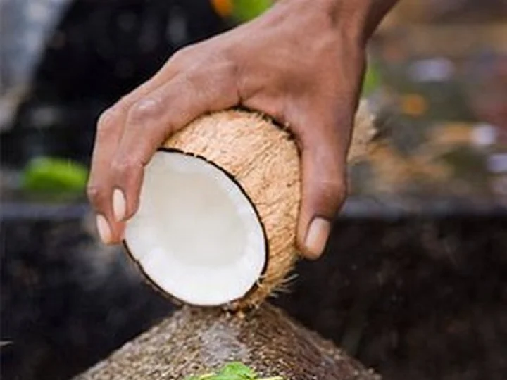 Family ostracized for cracking coconuts