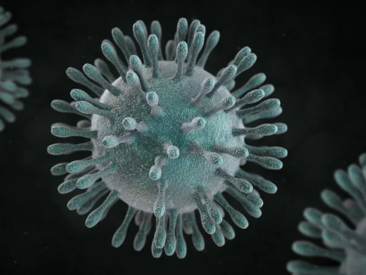Corona Virus