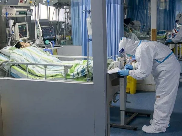 Corona Virus