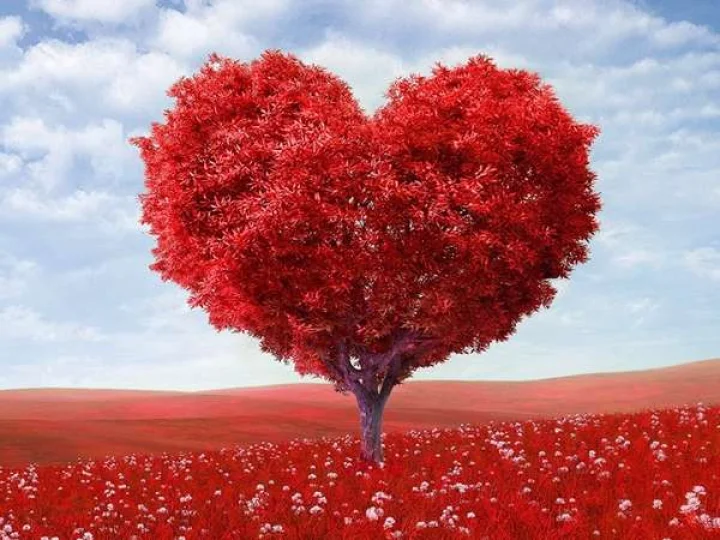 love tips in marathi simple love tips increase mutual love