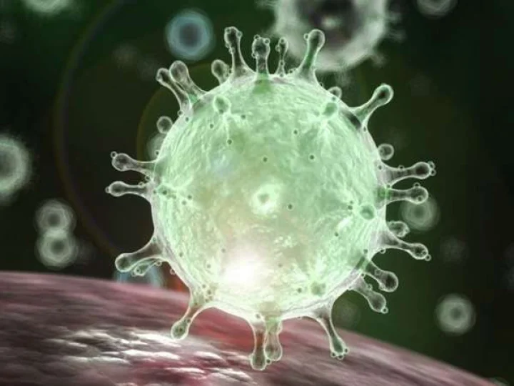 corona virus