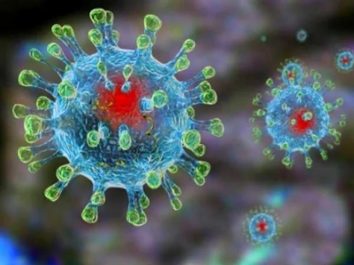 Outbreaks