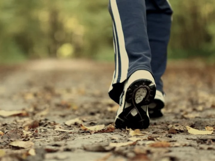 Pros and Cons of Walking 10000 Steps a Day