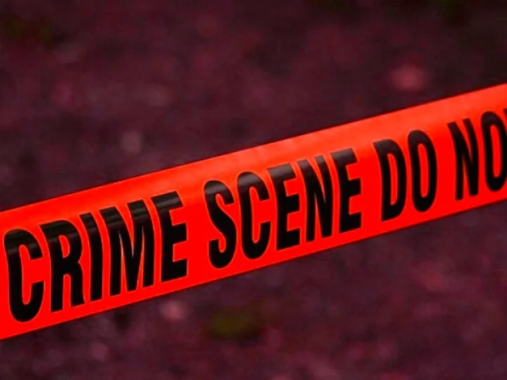 Bilaspur crime news