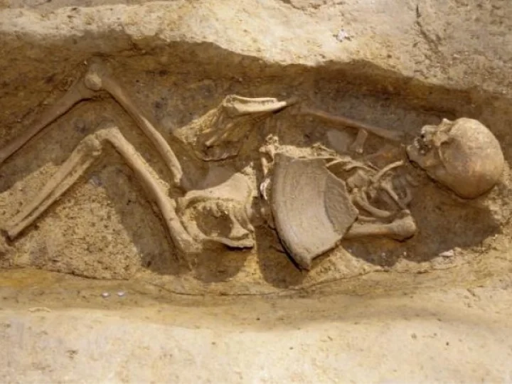 Remains of 215 children