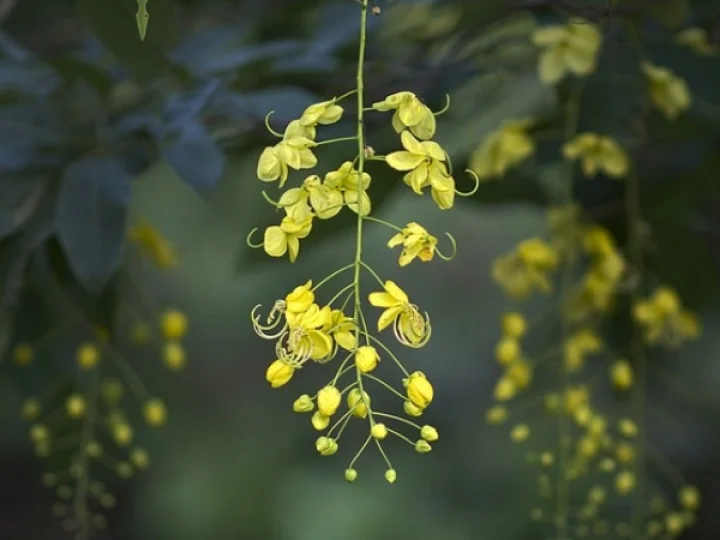 വാർത്തകൾ