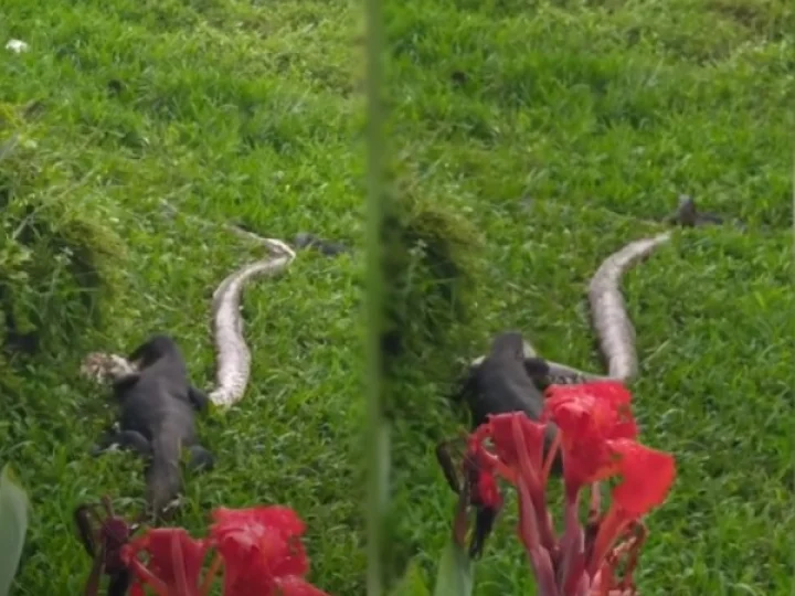 വാർത്തകൾ