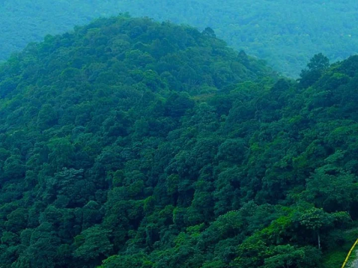 Wayanad