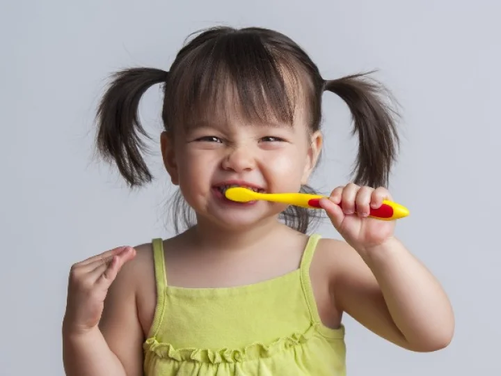 brush