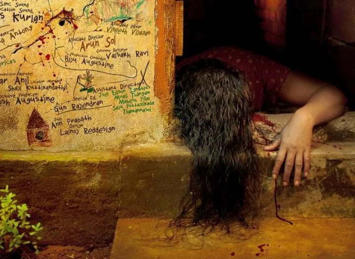 സനൽ കുമാർ ശശിധരൻ