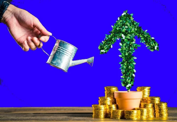 Investment Tips