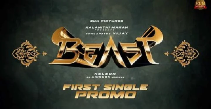 Watch 'Arabic Kuthu - Beast First Single Promo | Thalapathy Vijay | Sun Pictures | Nelosn | Anirudh' on YouTube