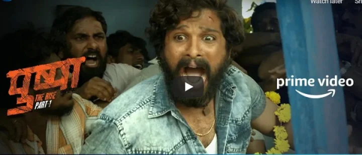 Watch 'Try Not To Cry ?? - Pushpa Emotional Scene | Allu Arjun 
