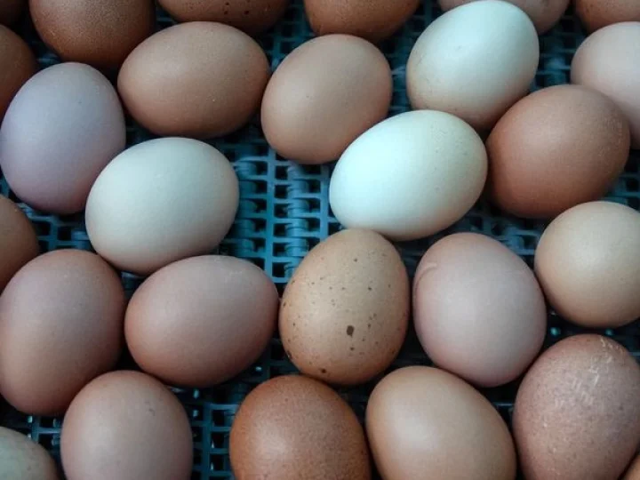 Egg rate kerala ആറ് രൂപയേക്കാള്‍ കൂടുതല്‍ ! കേരളത്തില്‍ കോഴിമുട്ട വില കുതിച്ചുയരാന്‍ കാരണമെന്ത്?