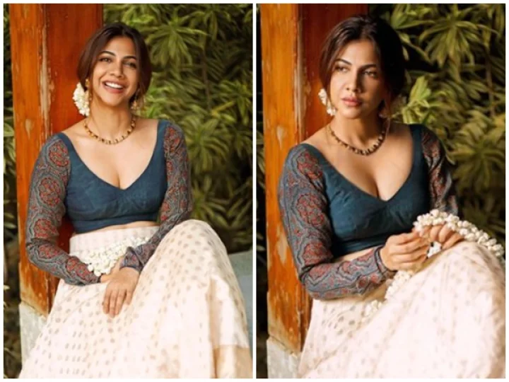 Madonna Sebastian hot Photos