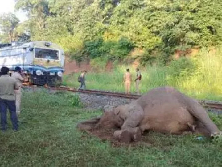 Palakkad Train hits Elephant