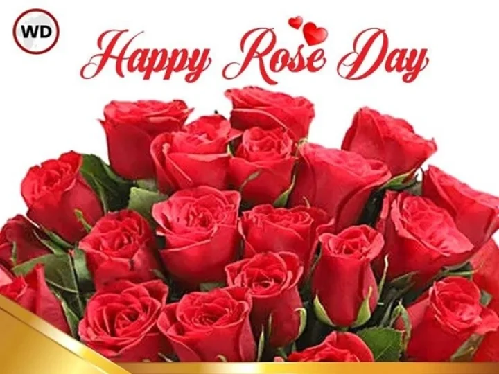 February 14 Rose day