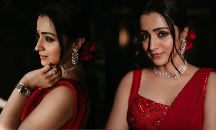 പൊന്നിയന്‍ സെല്‍വന്‍