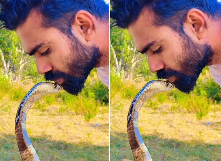 പാമ്പിന്റെ തലയില്‍ മുത്തം കൊടുത്ത് യുവാവ്; വൈറല്‍ വീഡിയോ